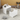 1d4a4dcc69a37eab4532282efbe399cd