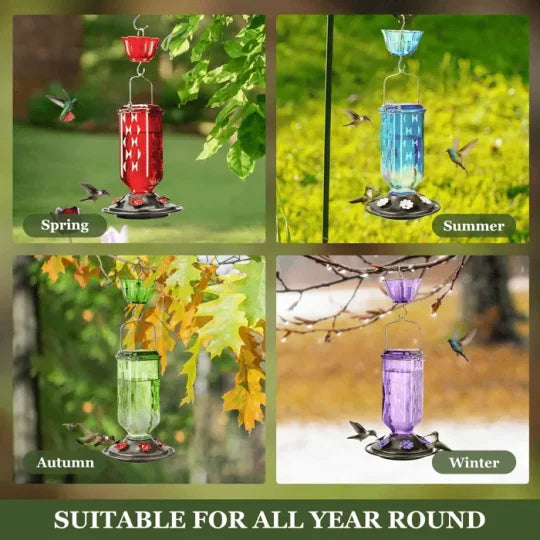 Leak-Proof Glass Hummingbird Feeder, 24 oz