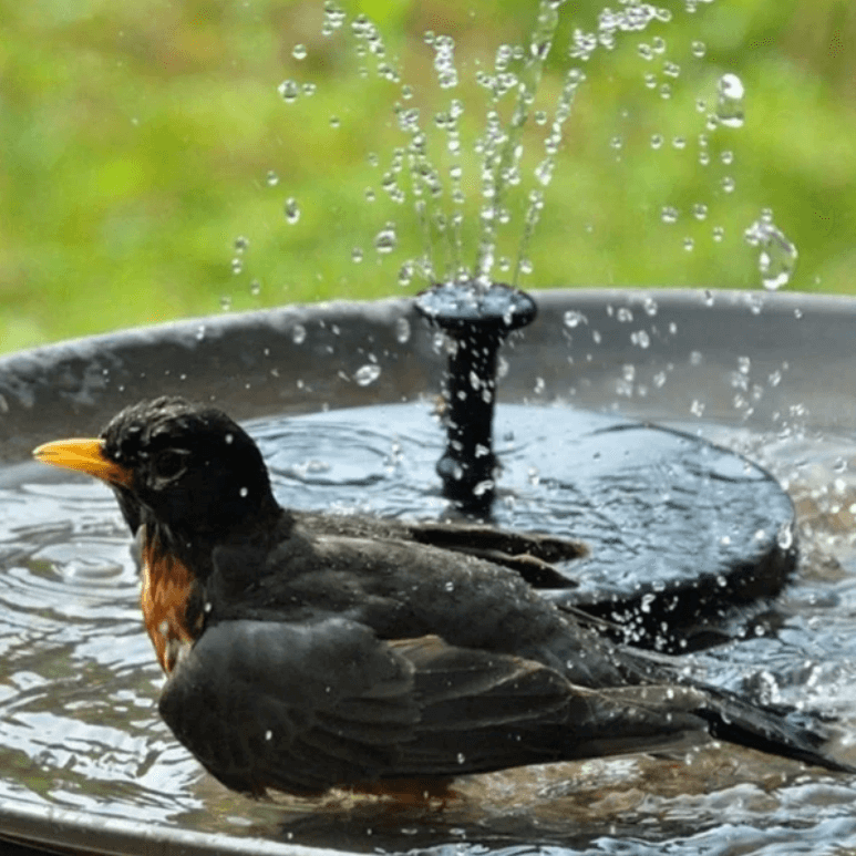 Solar-Powered LED Fountain — Eco-Friendly Outdoor Water Feature