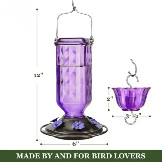 Leak-Proof Glass Hummingbird Feeder, 24 oz