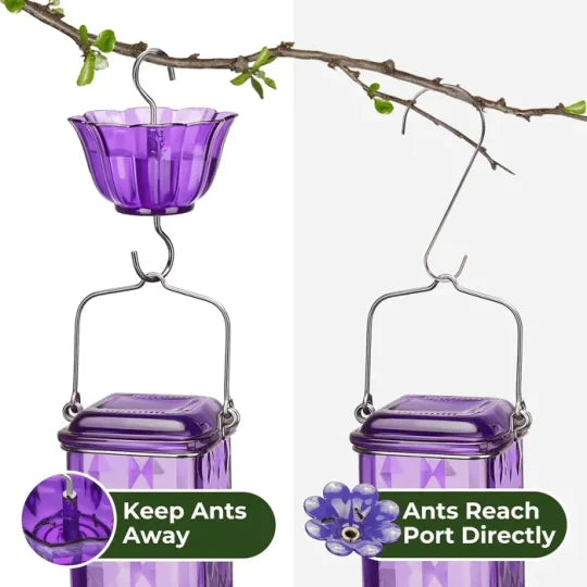 Leak-Proof Glass Hummingbird Feeder, 24 oz