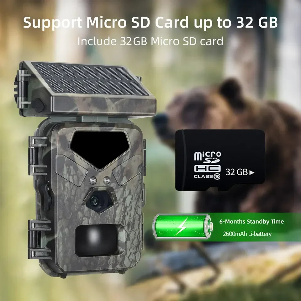 Slim Solar-Powered Trail Camera for Easy Setup and Long-Lasting Wildlife Monitoring