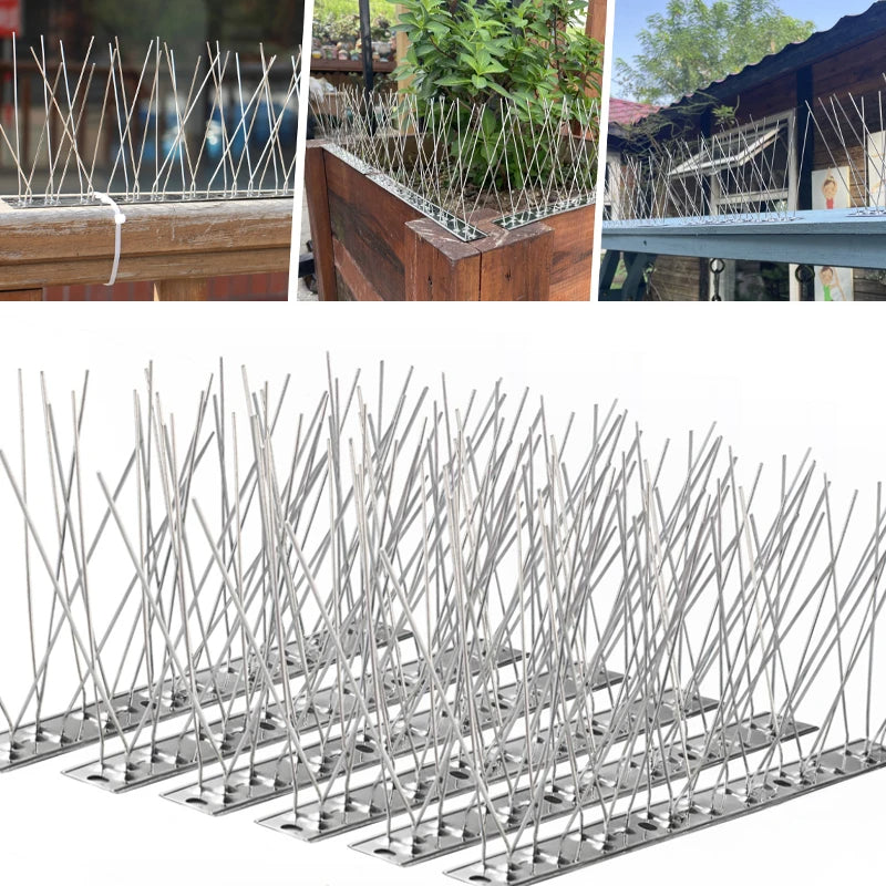 Stainless Steel Outdoor Bird Spike Deterrent – Humane, Effective Bird Repeller for Patios, Roofs & Gardens