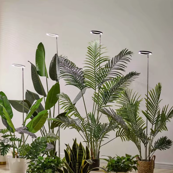 Indoor Plant Grow Light – Full-Spectrum LED for Healthy, Vigorous Growth