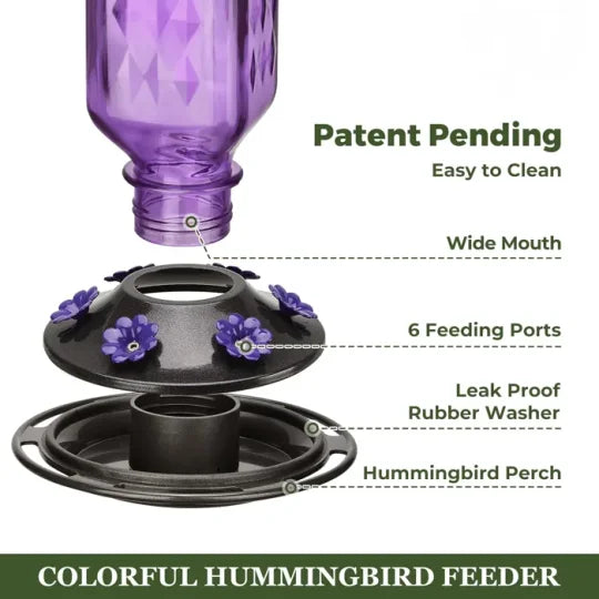 Leak-Proof Glass Hummingbird Feeder, 24 oz