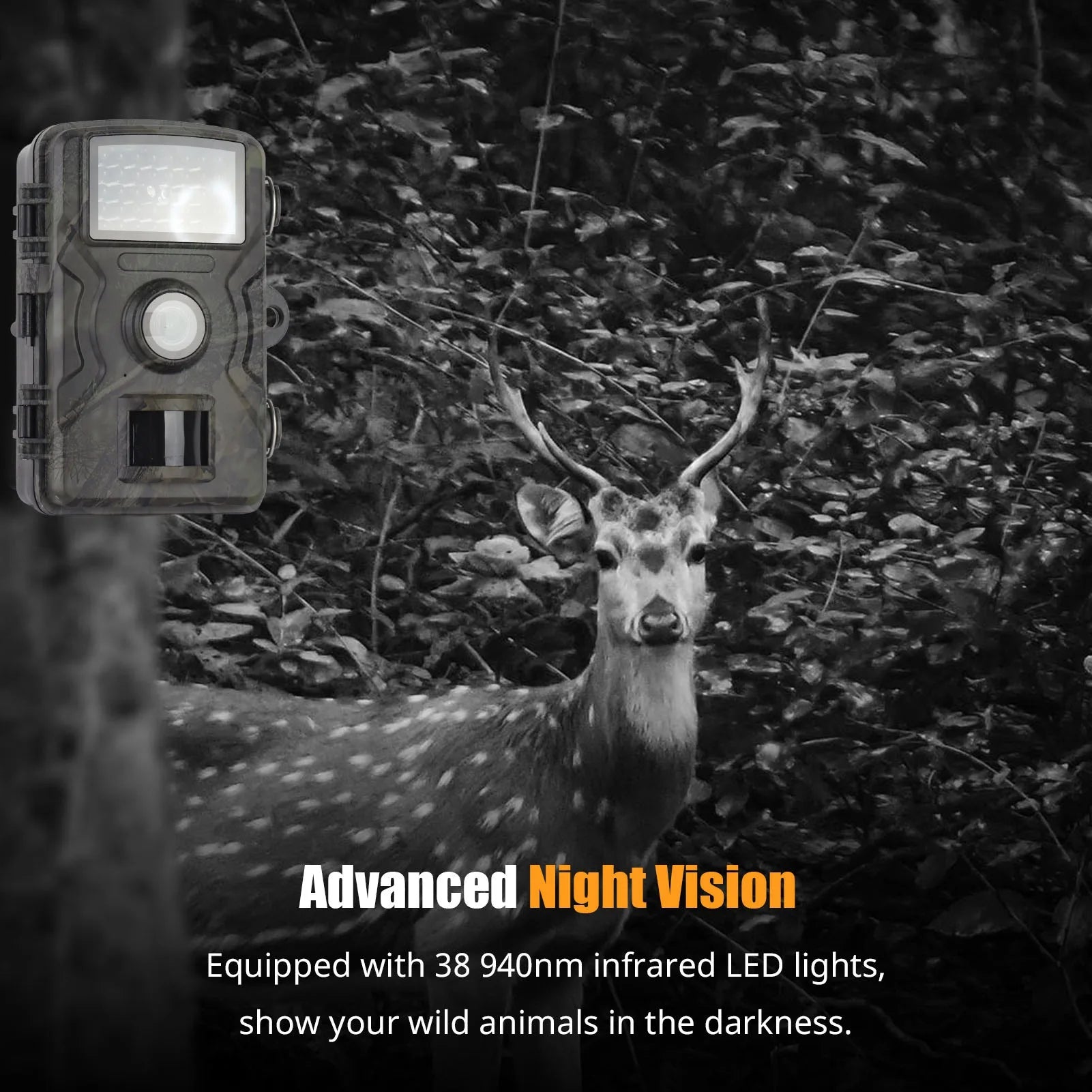 Full HD Night Vision Trail Camera for Outdoor Wildlife Monitoring