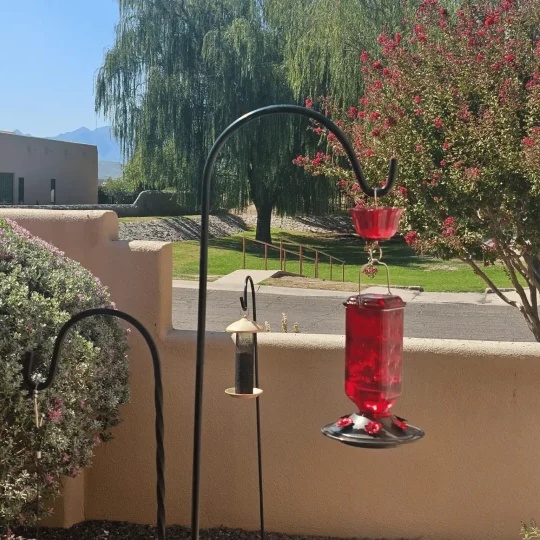 Leak-Proof Glass Hummingbird Feeder, 24 oz