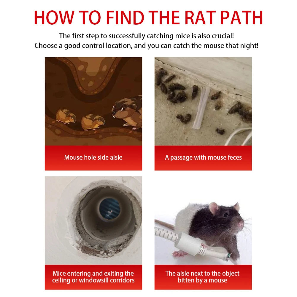 Sliding Door Reusable Mouse Trap Cage – Durable, Easy-Release Design