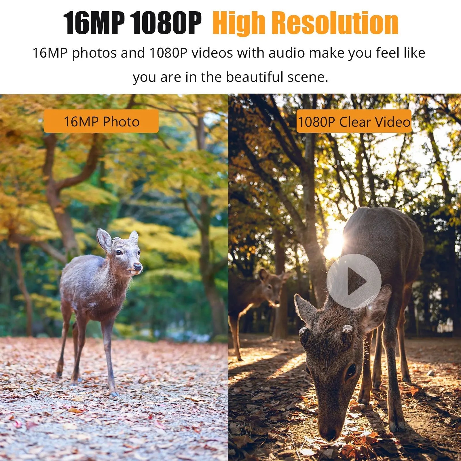 Full HD Night Vision Trail Camera for Outdoor Wildlife Monitoring