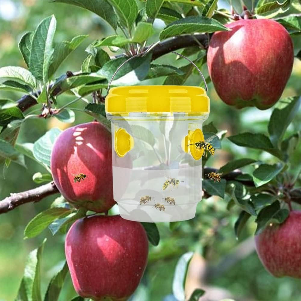 Effective Fruit Fly Traps for Quick Insect Control