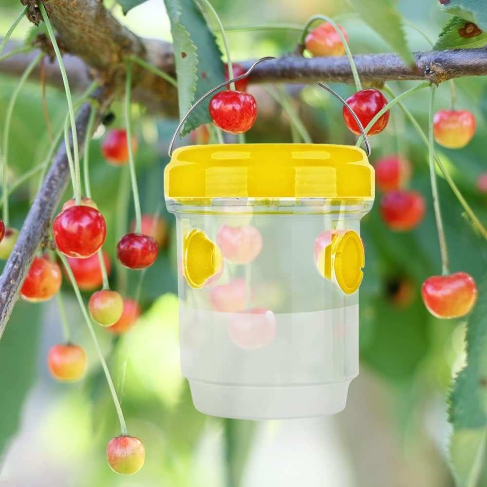 Effective Fruit Fly Traps for Quick Insect Control