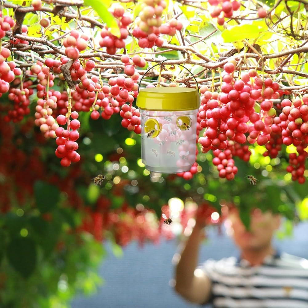 Effective Fruit Fly Traps for Quick Insect Control