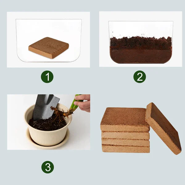 Premium Organic Coconut Coir for Healthy Plant Growth