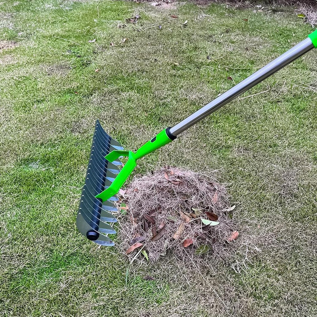 Extended-Reach Thatch Rake for Easy Dethatching of Dead Grass