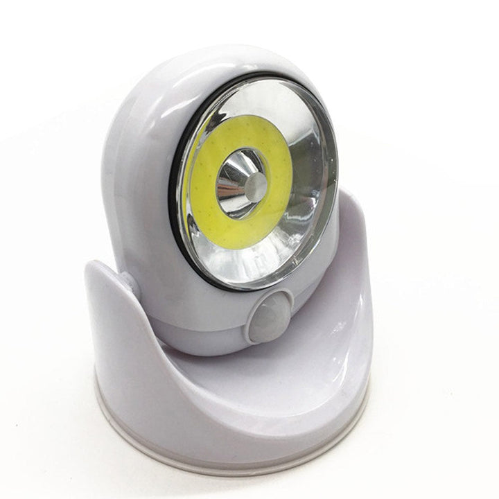 All-Weather LED Outdoor Light with Motion Sensor