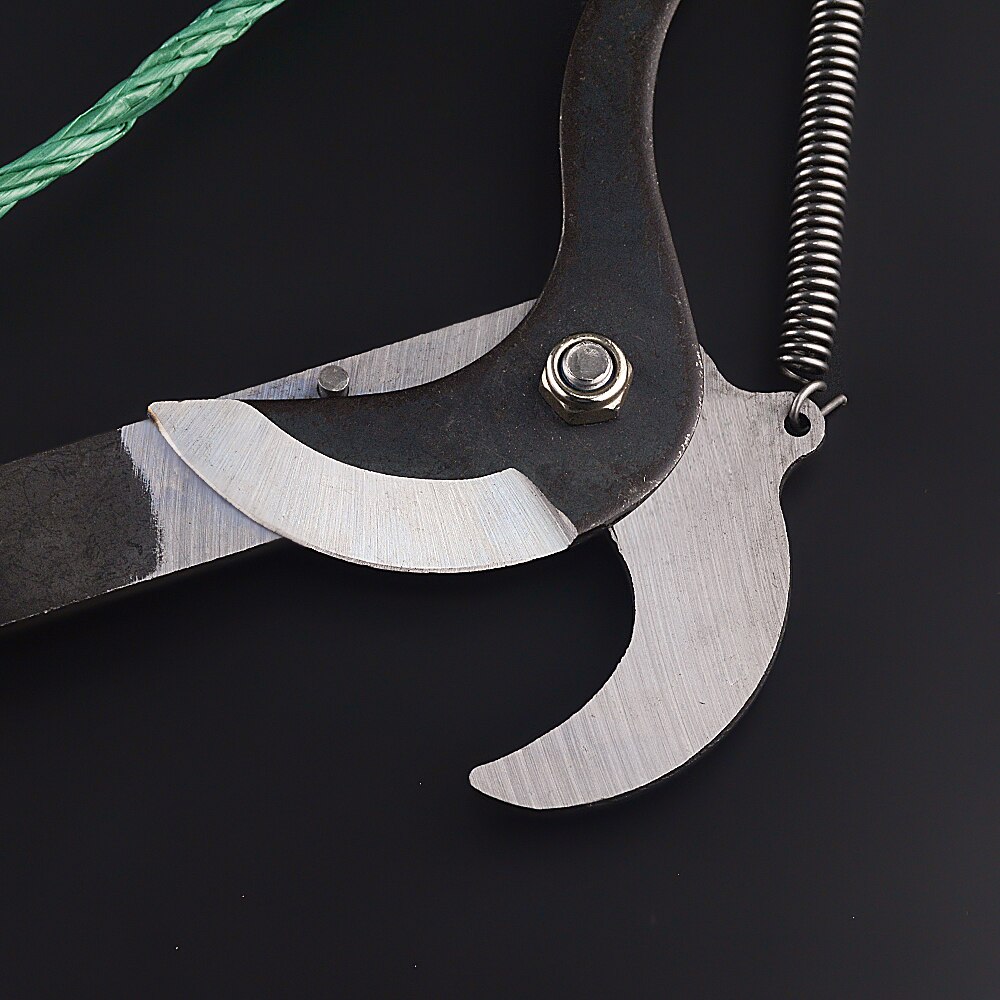 High-Reach Pruning Shears with Extendable Handle