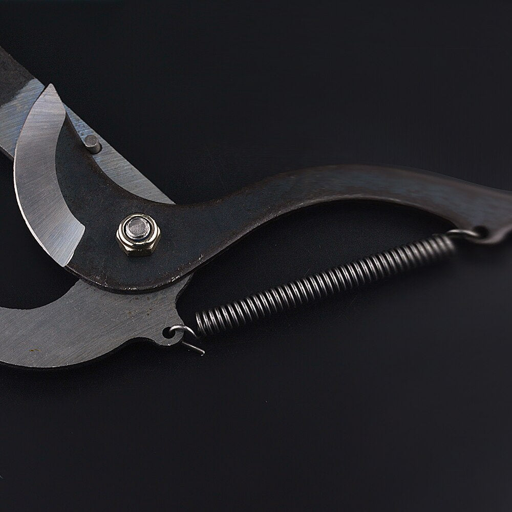High-Reach Pruning Shears with Extendable Handle
