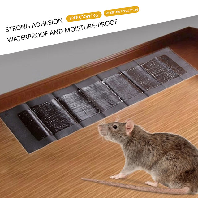 5 Extra-Large Glue Pads for Mice and Rats — Fast-Acting, Reliable Pest Control