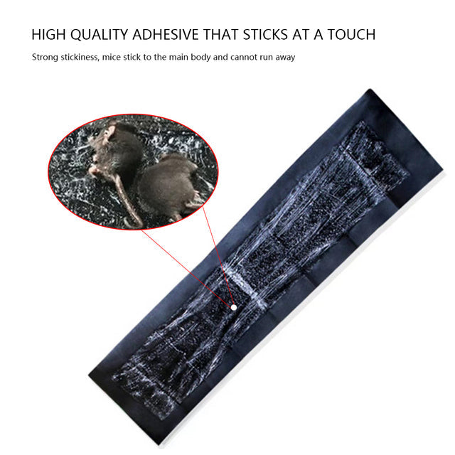 5 Extra-Large Glue Pads for Mice and Rats — Fast-Acting, Reliable Pest Control