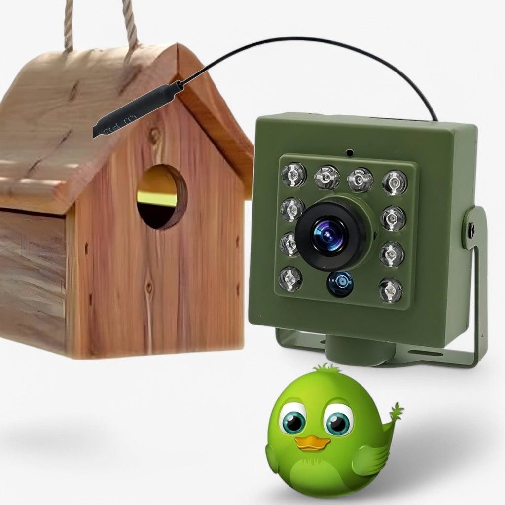 Rugged 1080p HD Weatherproof Wildlife Camera with Night Vision, Motion Detection, and Remote Access