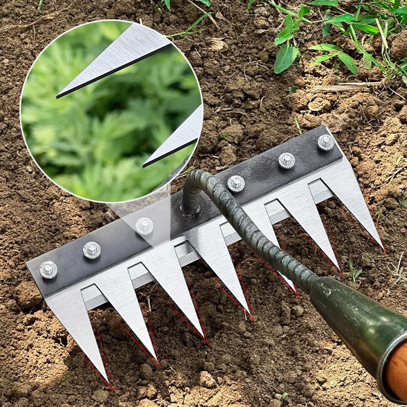 Versatile Handle Lawn Rakes for Easy Yard Maintenance