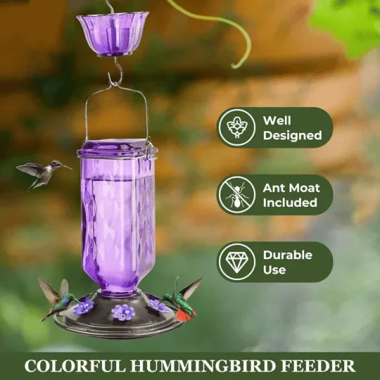 Leak-Proof Glass Hummingbird Feeder, 24 oz