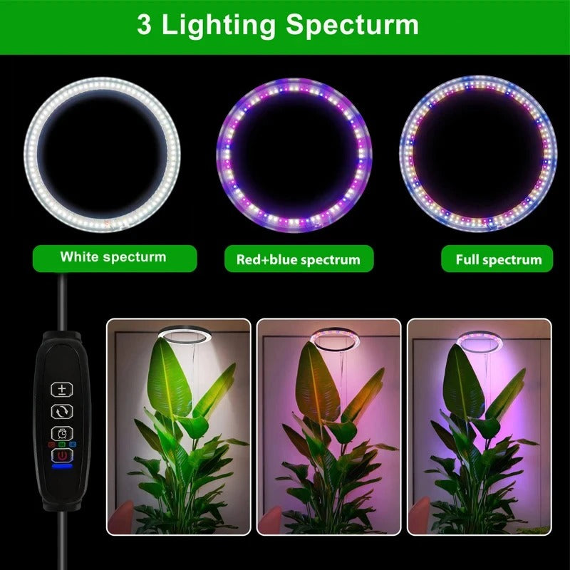 Indoor Plant Grow Light – Full-Spectrum LED for Healthy, Vigorous Growth