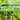 ddf6c16bfb0f8a1e63858e33610724c8