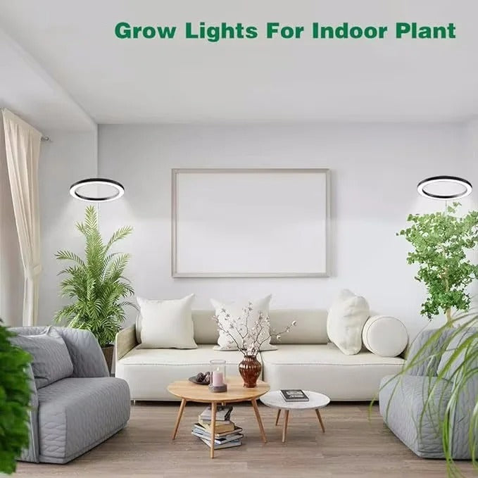 Indoor Plant Grow Light – Full-Spectrum LED for Healthy, Vigorous Growth