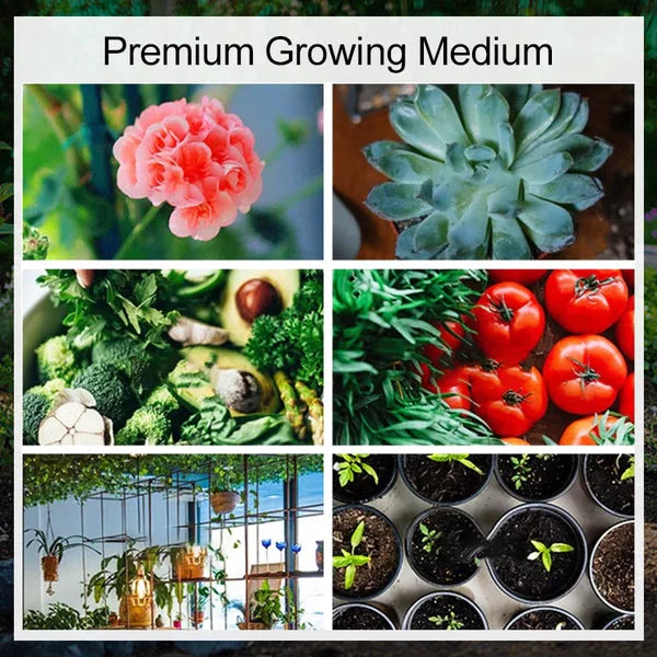 Premium Organic Coconut Coir for Healthy Plant Growth