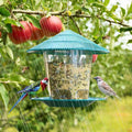 Premium Hanging Bird Feeder with Automatic Seed Dispenser