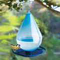 Raindrop Bird Hydration Feeder
