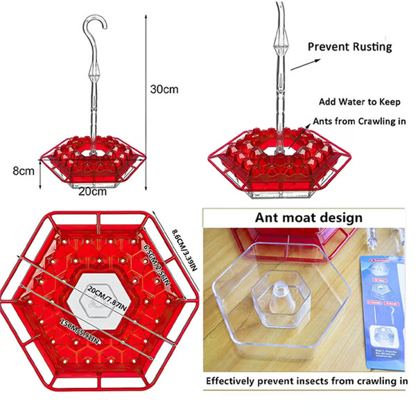 Premium Hummingbird Feeder with Built-In Ant Moat
