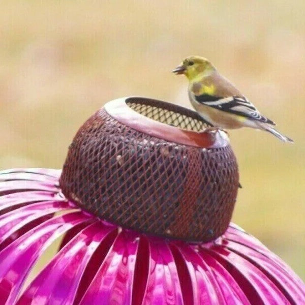 Coneflower-Inspired Bird Feeder for a Bright, Welcoming Garden