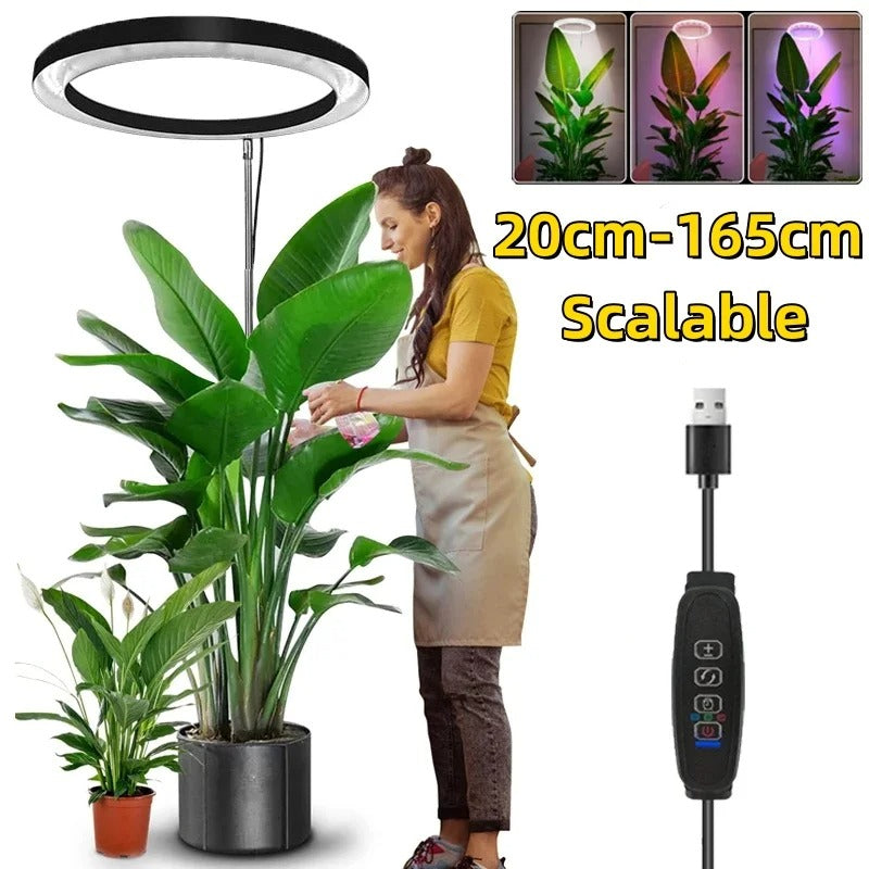 Indoor Plant Grow Light – Full-Spectrum LED for Healthy, Vigorous Growth