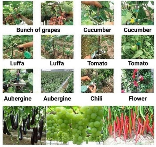 Plant Strappers — Easy, Gentle Garden Ties for Secure Support