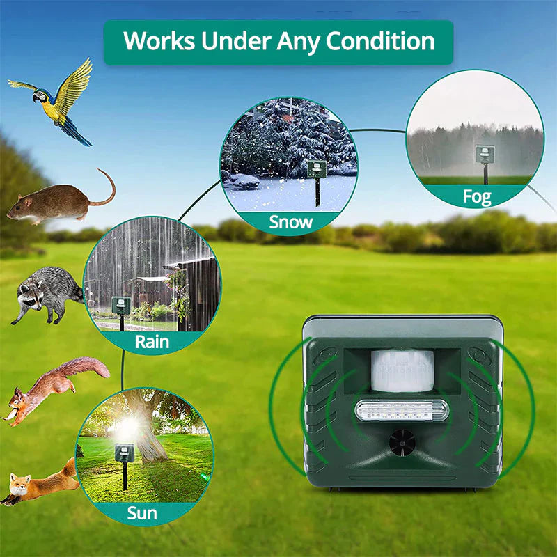 Woodpecker Ultrasonic Bird Deterrent