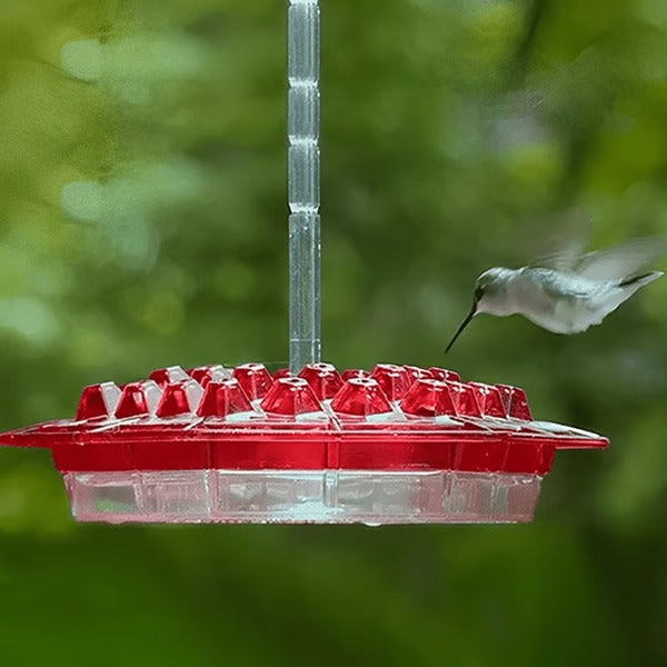 Premium Hummingbird Feeder with Built-In Ant Moat