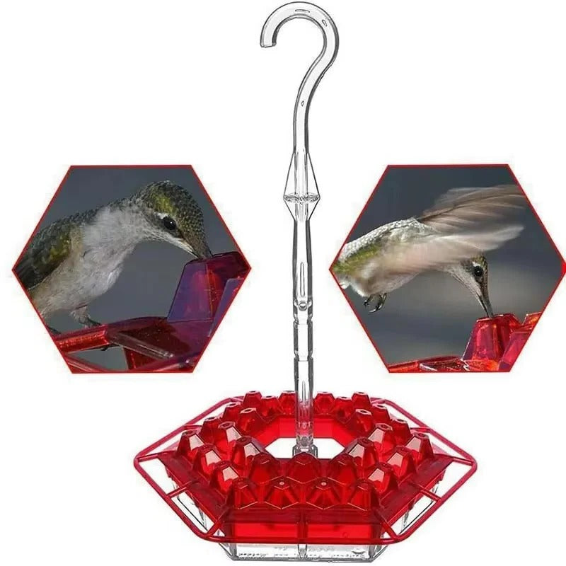 Ant-Proof Hummingbird Feeder with Outdoor Hanging Perch