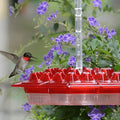 Premium Hummingbird Feeder with Built-In Ant Moat