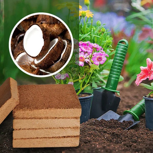 Premium Organic Coconut Coir for Healthy Plant Growth