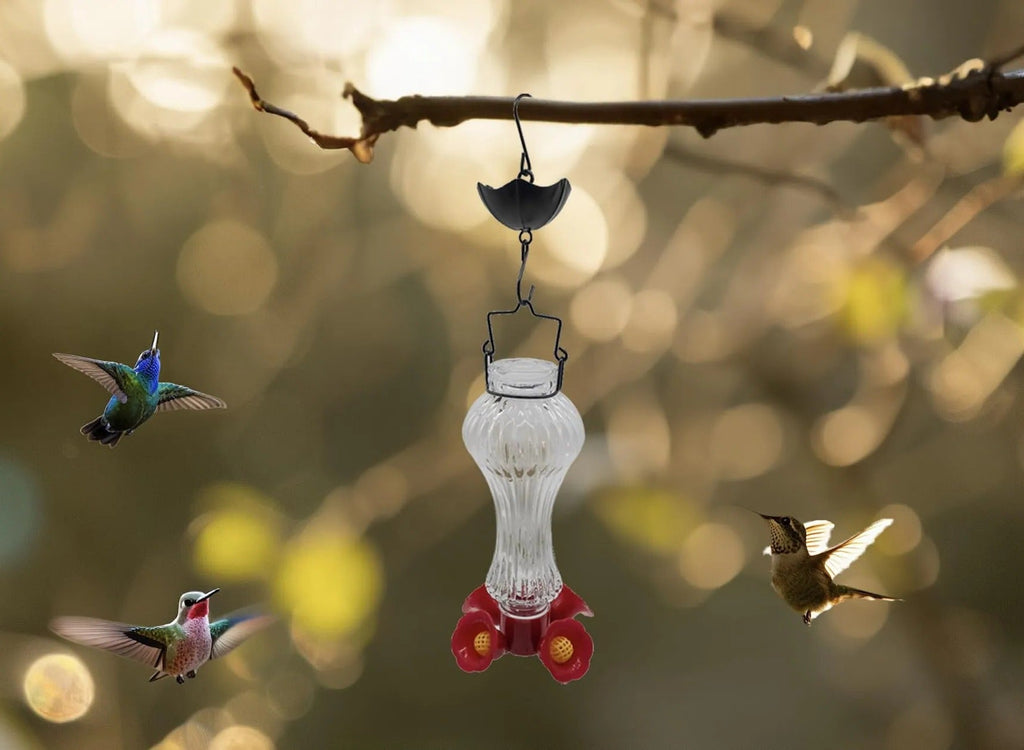 Floral Glass Hummingbird Feeder with Ant Moat