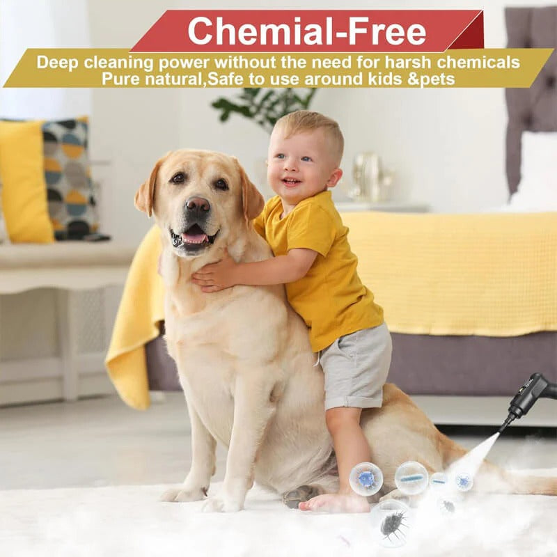 Powerful 2500W High-Pressure Steam Cleaner with Gloves Included
