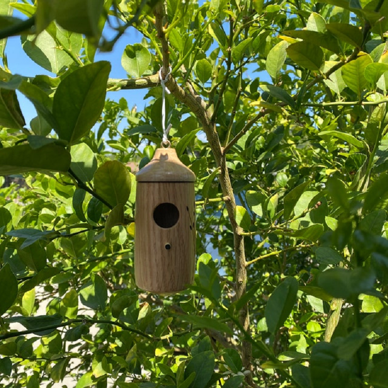 Handcrafted Wooden Hummingbird House - A Charming Gift for Nature Lovers