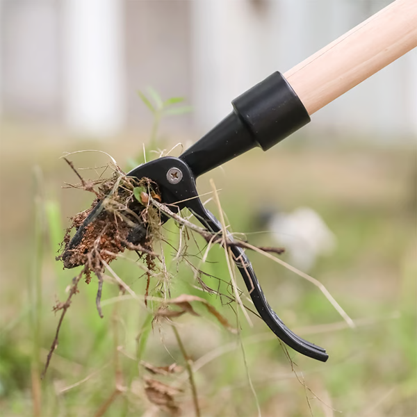 Stand-Up Weed Puller for Effortless Weeding