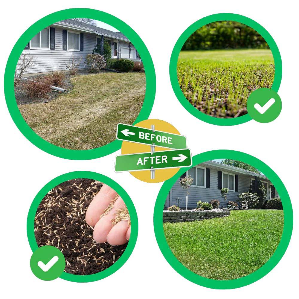 Fast-Acting Green Grass Seed Mat for Quick Lawn Repair