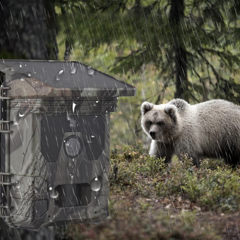Solar-Powered Night-Vision Trail Camera for Day and Night Wildlife Monitoring